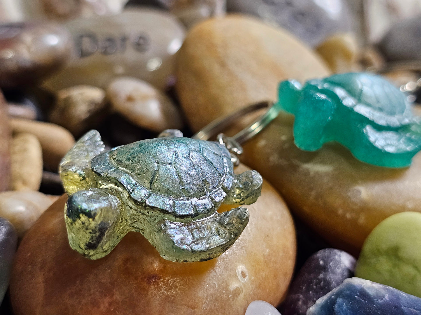 TINY TURTLES