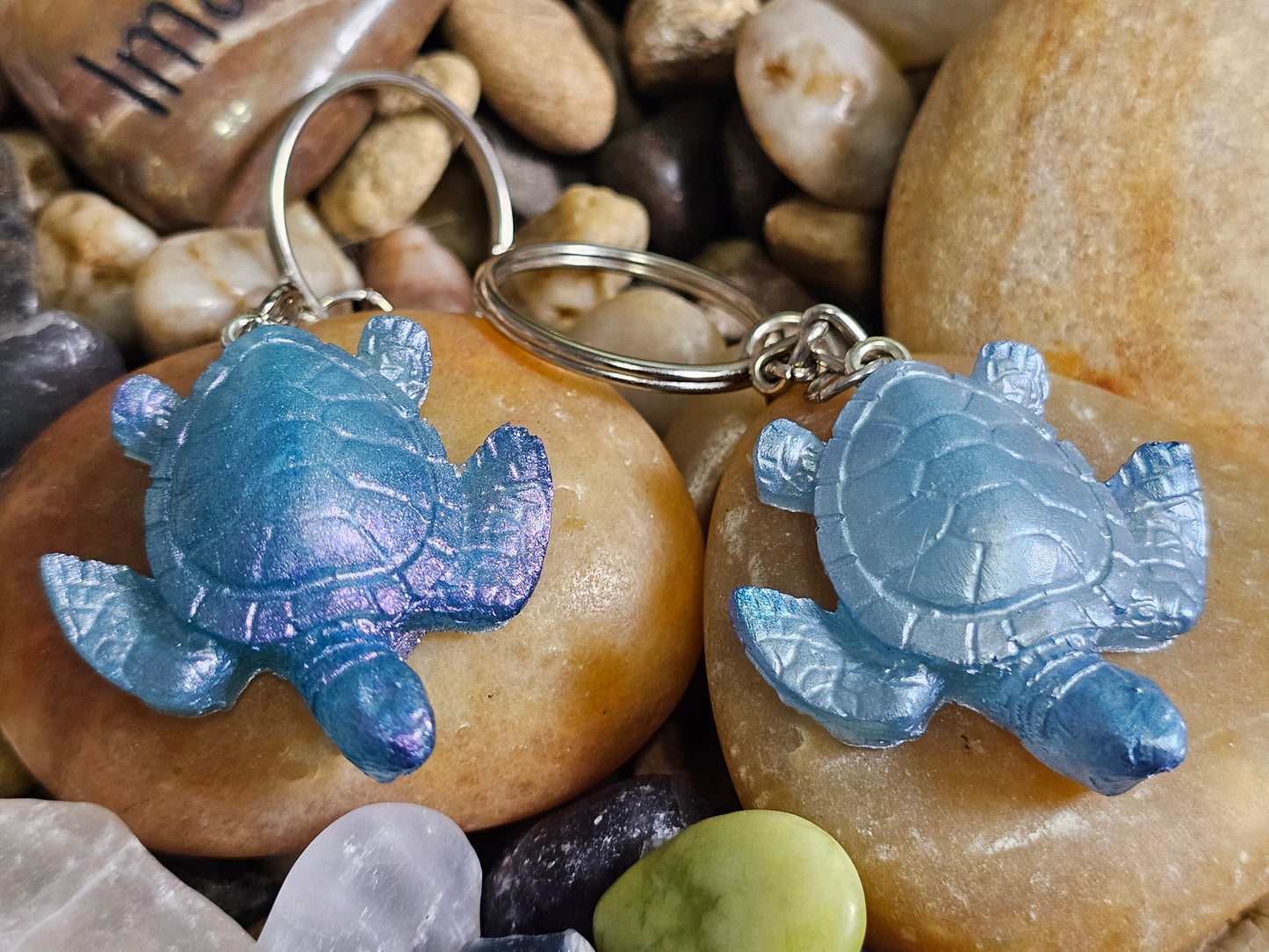 TINY TURTLES