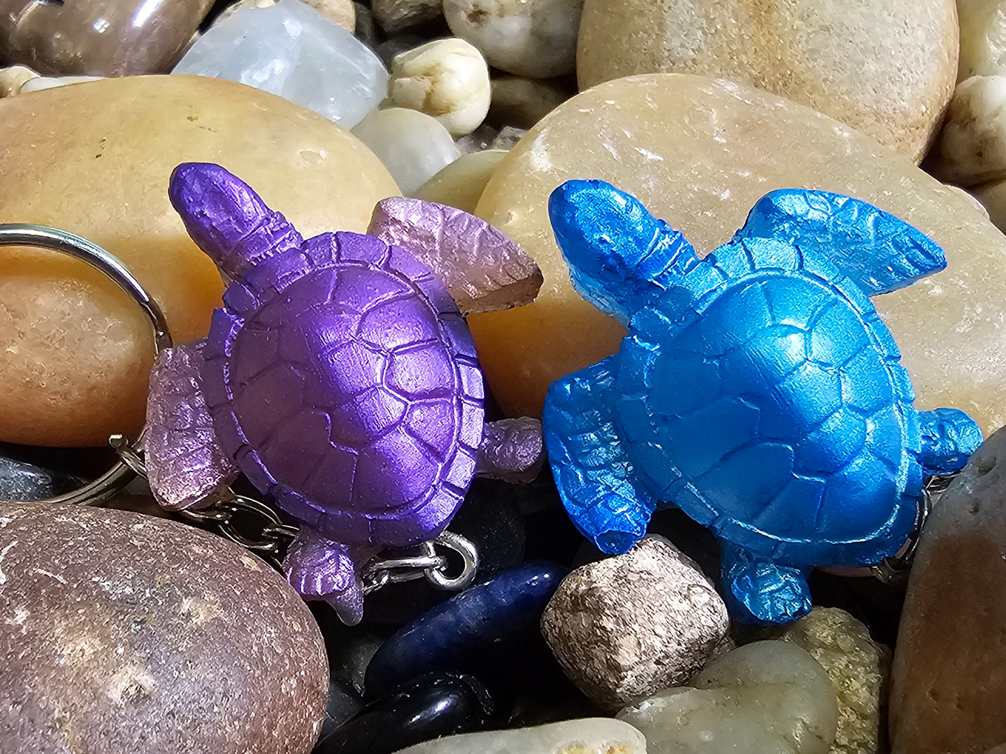 TINY TURTLES